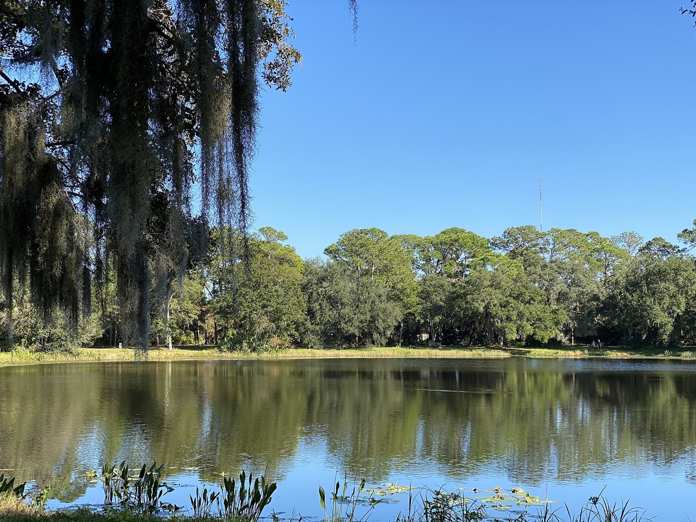 Seminole, Florida